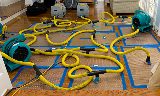 Professional Crawl Space Water Removal technician working in Newton, NJ